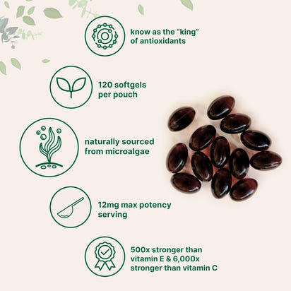 Micro Ingredients Astaxanthin 12mg with MCT Oil, 120 Softgels, 4 Month Supply | Premium Astaxanthin Antioxidant Supplements* | Fresh Microalgae Source | Triple Strength, Non-GMO, Gluten Free, No Soy