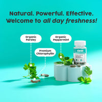 Whole Body Internal Deodorizer