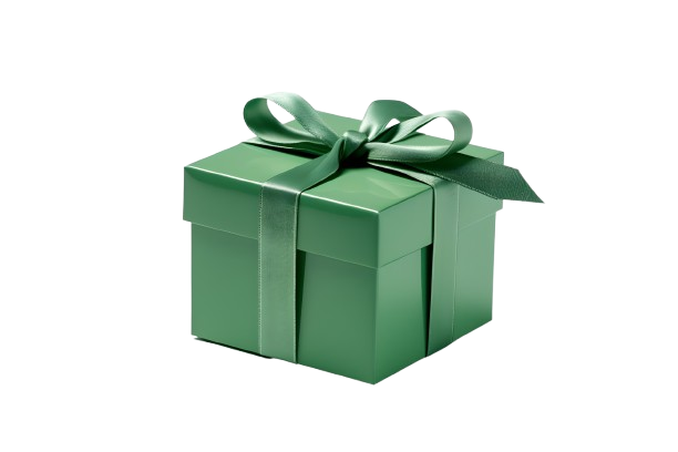 Mystery Gift!