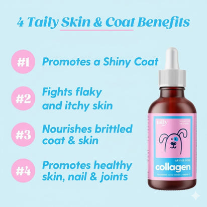 Pawly™ | Health that wags back.
